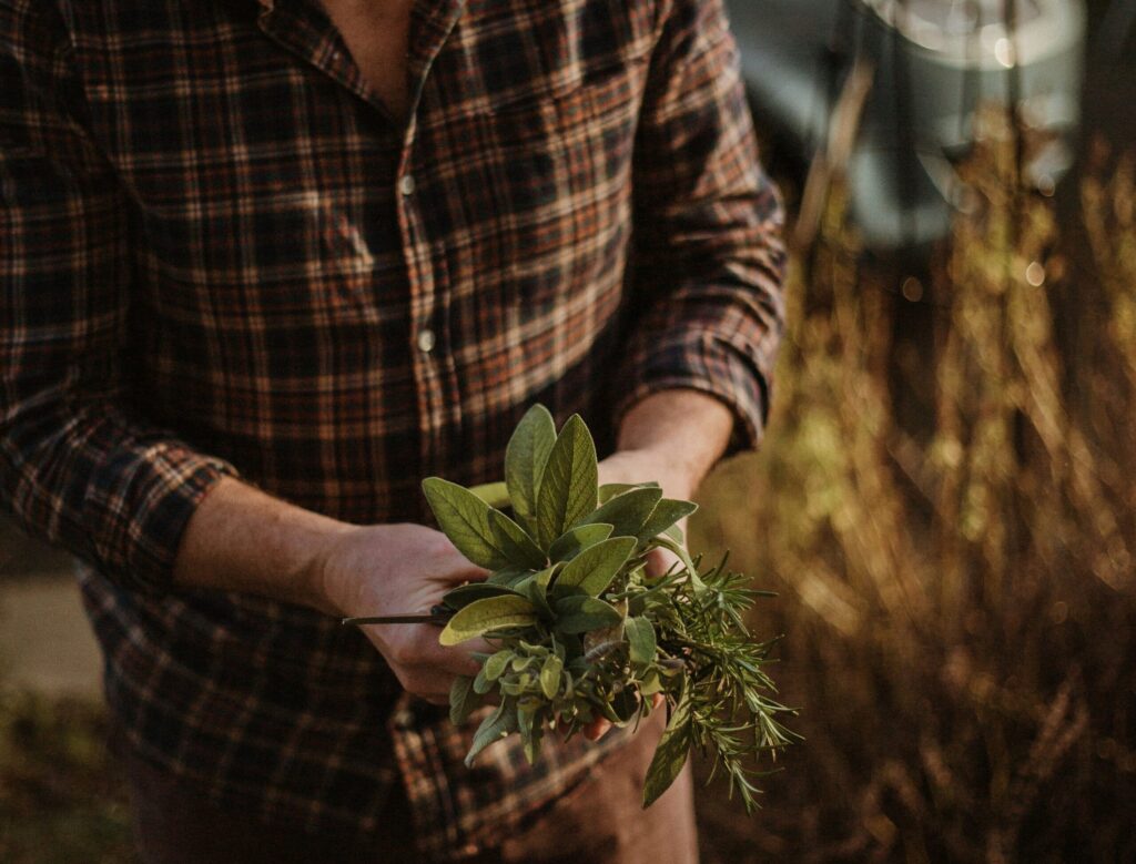 Man in a plaid check shirt holding a bunch of fresh herbs