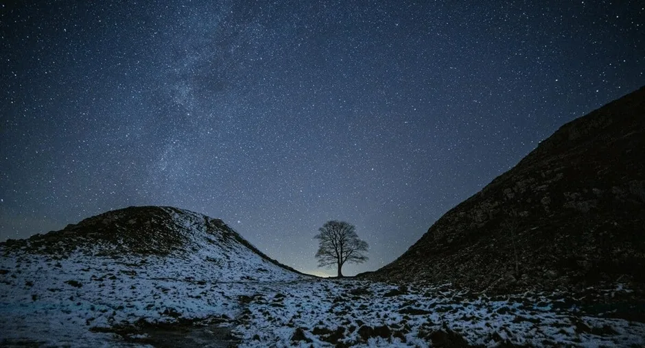 Two hills with a tree in the middle covered in snow at night
