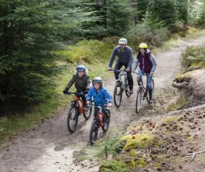 Family mountain biking on a wooded path